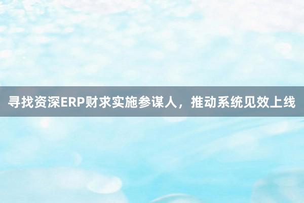 寻找资深ERP财求实施参谋人，推动系统见效上线