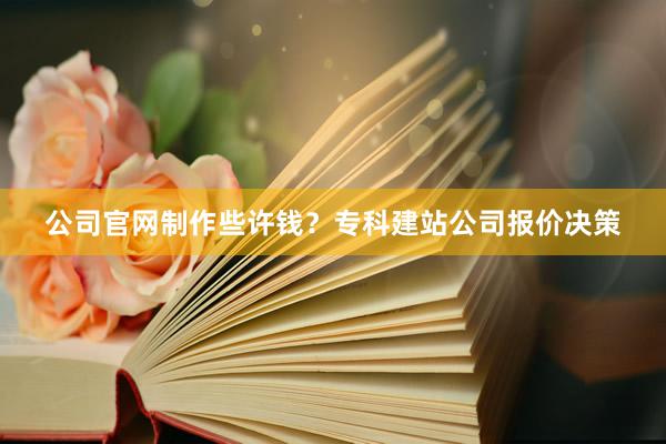 公司官网制作些许钱？专科建站公司报价决策