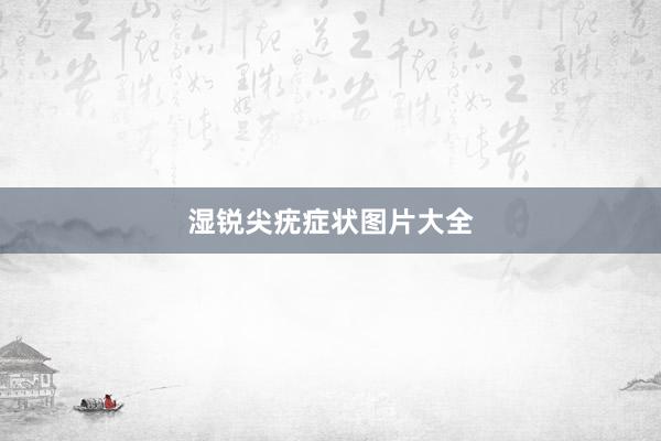 湿锐尖疣症状图片大全