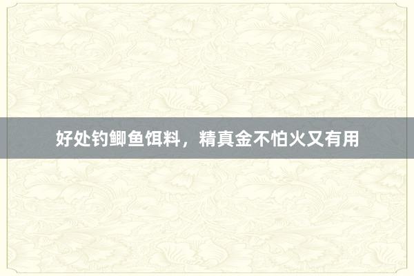 好处钓鲫鱼饵料，精真金不怕火又有用