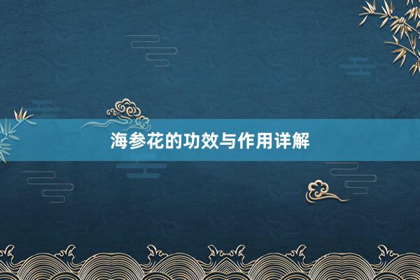 海参花的功效与作用详解