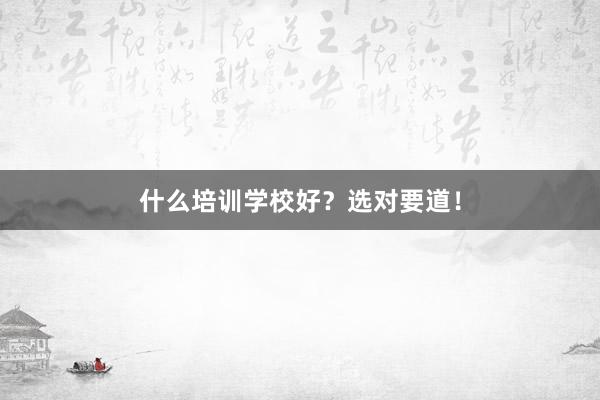 什么培训学校好?选对要道!